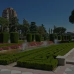 Landscapers Dublin: What are the 4 Basic Elements of Landscape Design?
