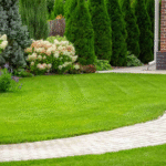 Landscaping Services Dublin: What Landscaping Adds the Most Value?