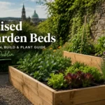Raised Garden Beds: Design, Build & Plant Guide for Dublin