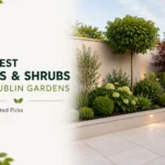 Best Trees and Shrubs for Dublin