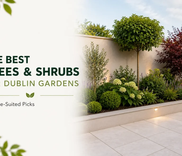 Best Trees and Shrubs for Dublin