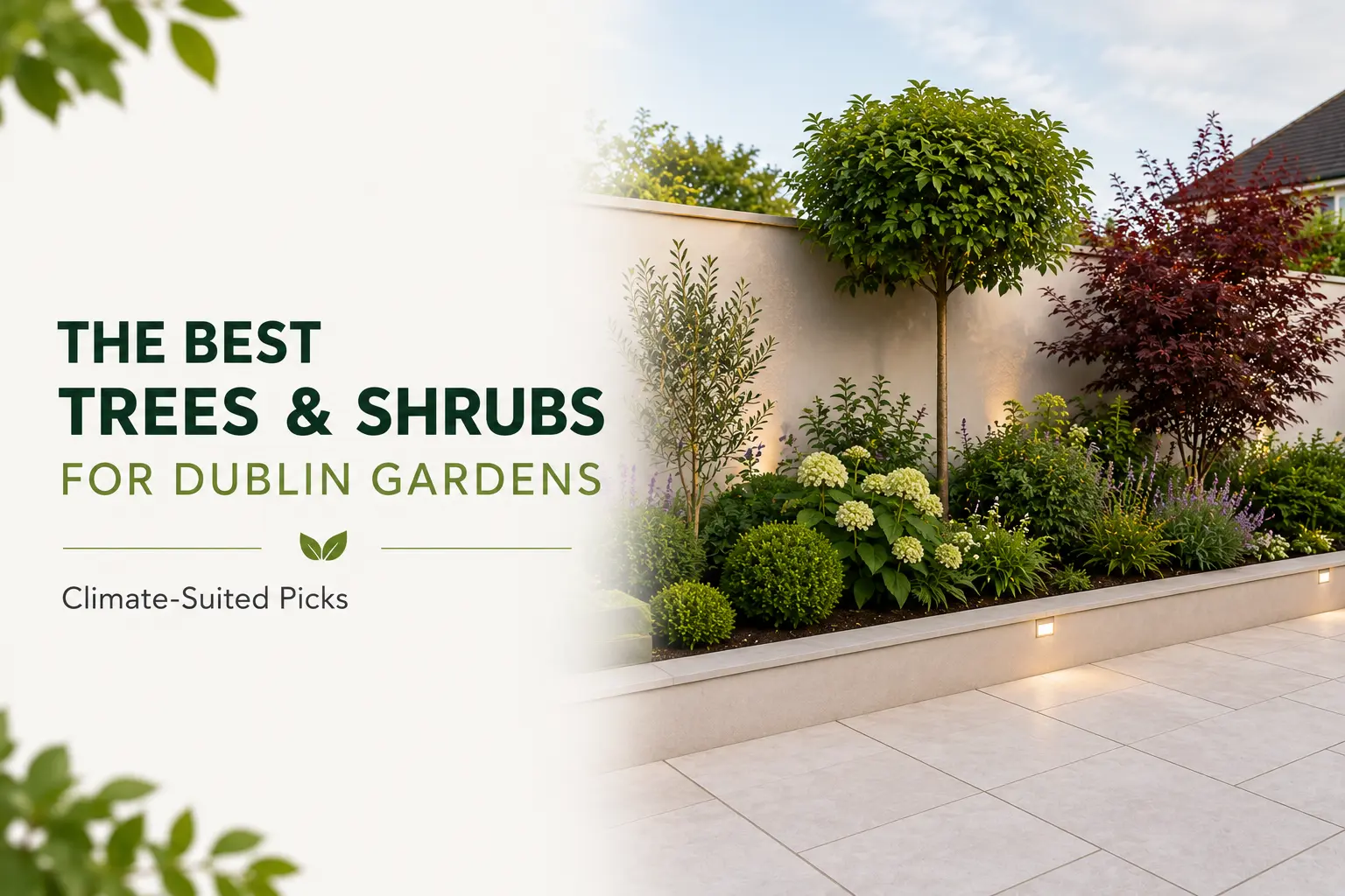 Best Trees and Shrubs for Dublin